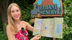 Enseñando Inglés en el Zoológico: Un Enfoque Dinámico para el Aprendizaje del Idioma